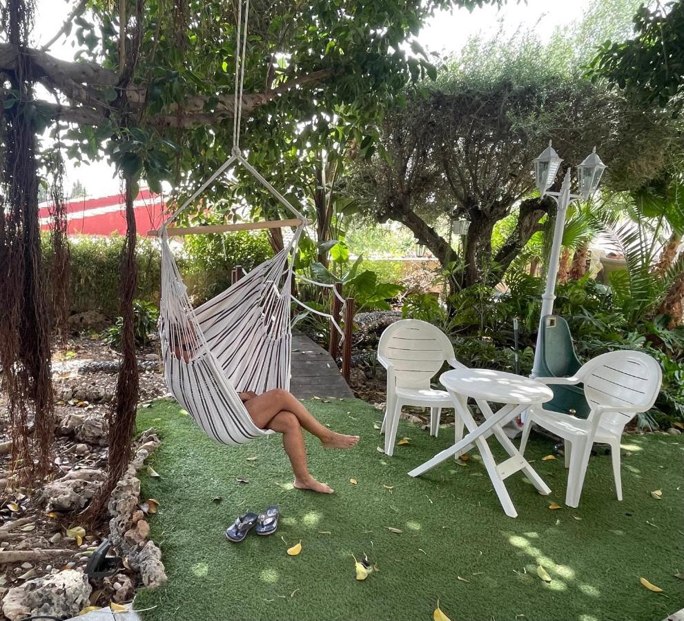 Habitacion Agregada, Suite Frente A La Piscina 2 P Habitacion No Casa Completa San Vicente Raspeig Kültér fotó